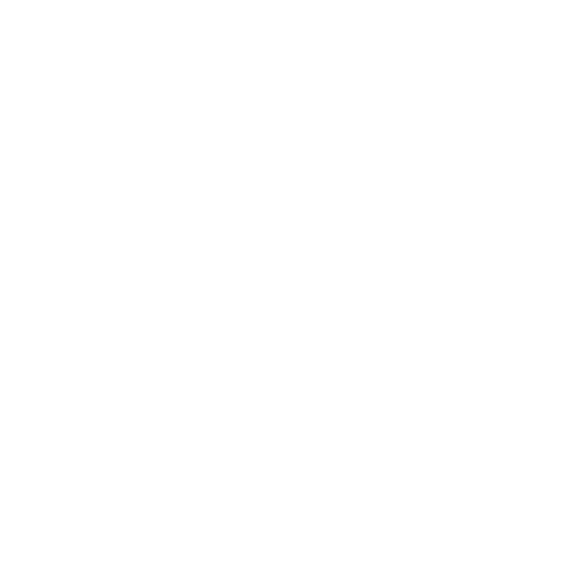 wp wordpress