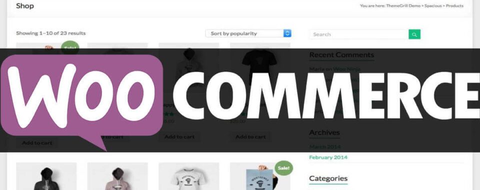Κατασκευή-ιστοσελίδων-E-Shop-Woocommerce | Art 4 Web Design blog 10