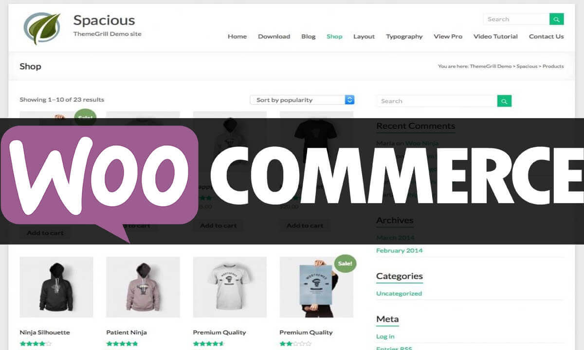 Woocommerce eshop Websites